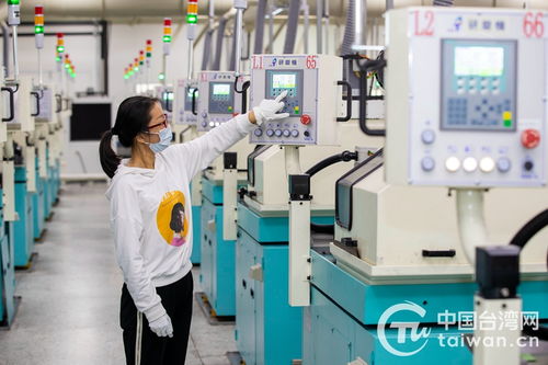 聚力轉(zhuǎn)型強(qiáng)動能 江蘇泰州臺資企業(yè)拓展提質(zhì)邁出新步伐